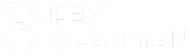 Femi Olaniyan