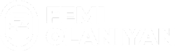 Femi Olaniyan